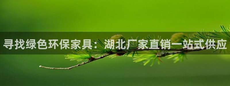杏耀总代