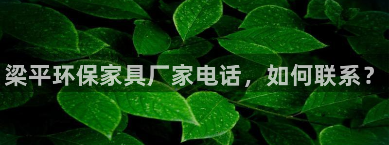 杏耀官方网