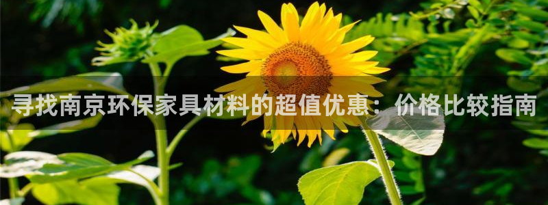 杏耀官方网