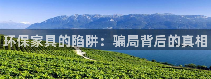 杏耀平台主管