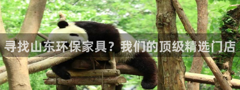 杏耀平台代理怎么赚钱的