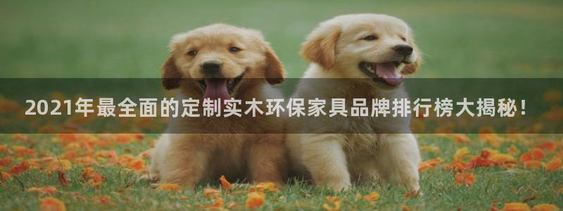 杏耀注册代理：2021年最全面的定制实木环保家具品牌排行榜大