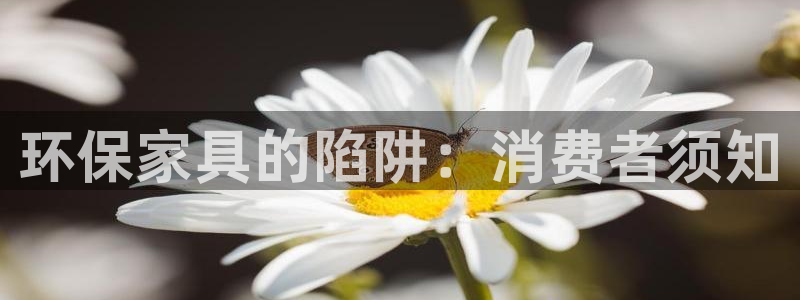 杏耀官方测速