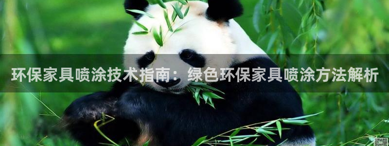 杏耀怎么注册：环保家具喷涂技术指南：绿色环保家具喷涂方法解析