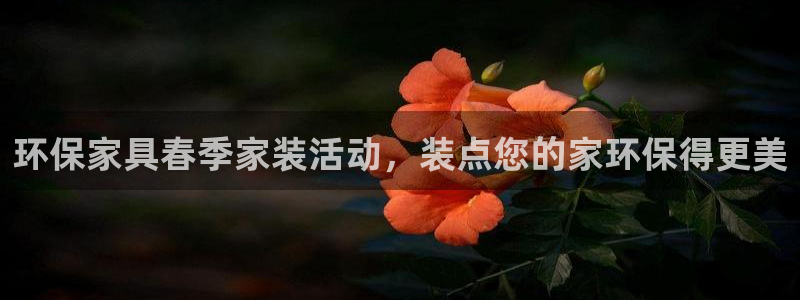 杏耀注册登录：环保家具春季家装活动，装点您的家环保得更美