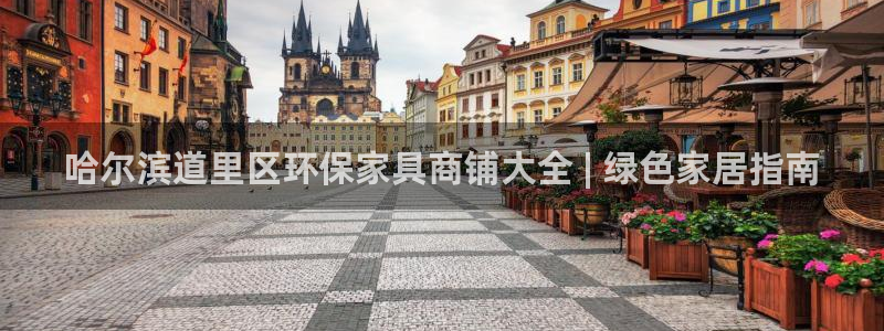 杏耀平台登录网址是什么：哈尔滨道里区环保家具商铺大全 | 绿
