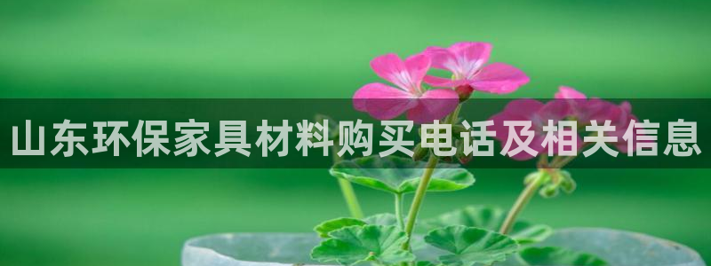 杏耀平台网站是什么