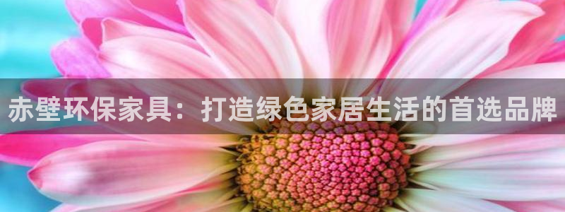 杏耀注册链接：赤壁环保家具：打造绿色家居生活的首选品牌