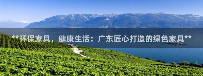 杏耀网页手机登录：**环保家具，健康生活：广东匠心打造的绿色